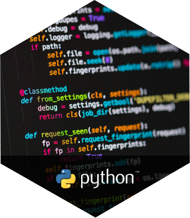 Python Web Development Company | Expert Python Developers India